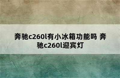 奔驰c260l有小冰箱功能吗 奔驰c260l迎宾灯